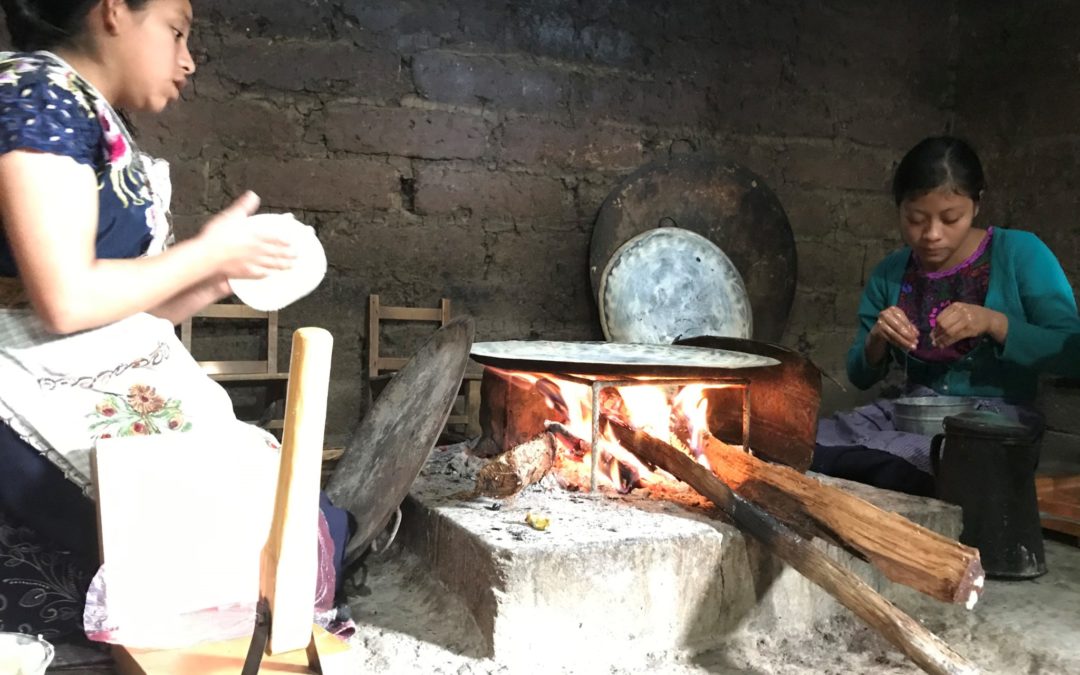 Paneles solares para comunidades con altos índices de pobreza energética: Tortugas y la Lomita en San Luis Potosí