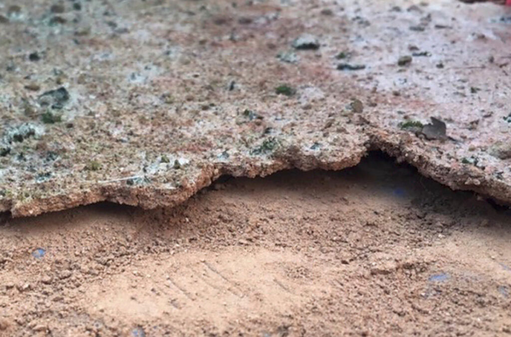 La energía solar puede favorecer la formación de biocostra en los desiertos